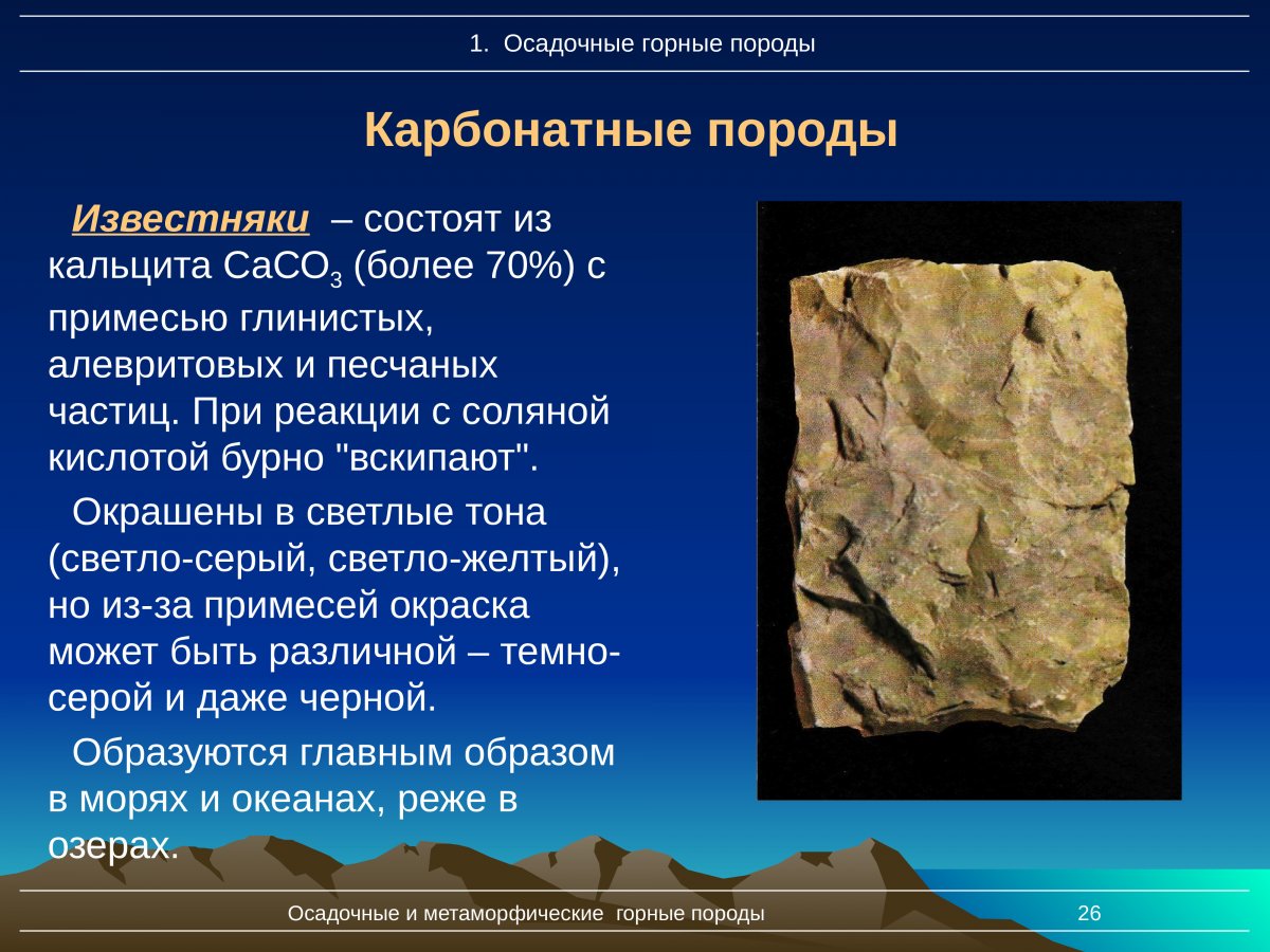 Кварц биотитовый сланец