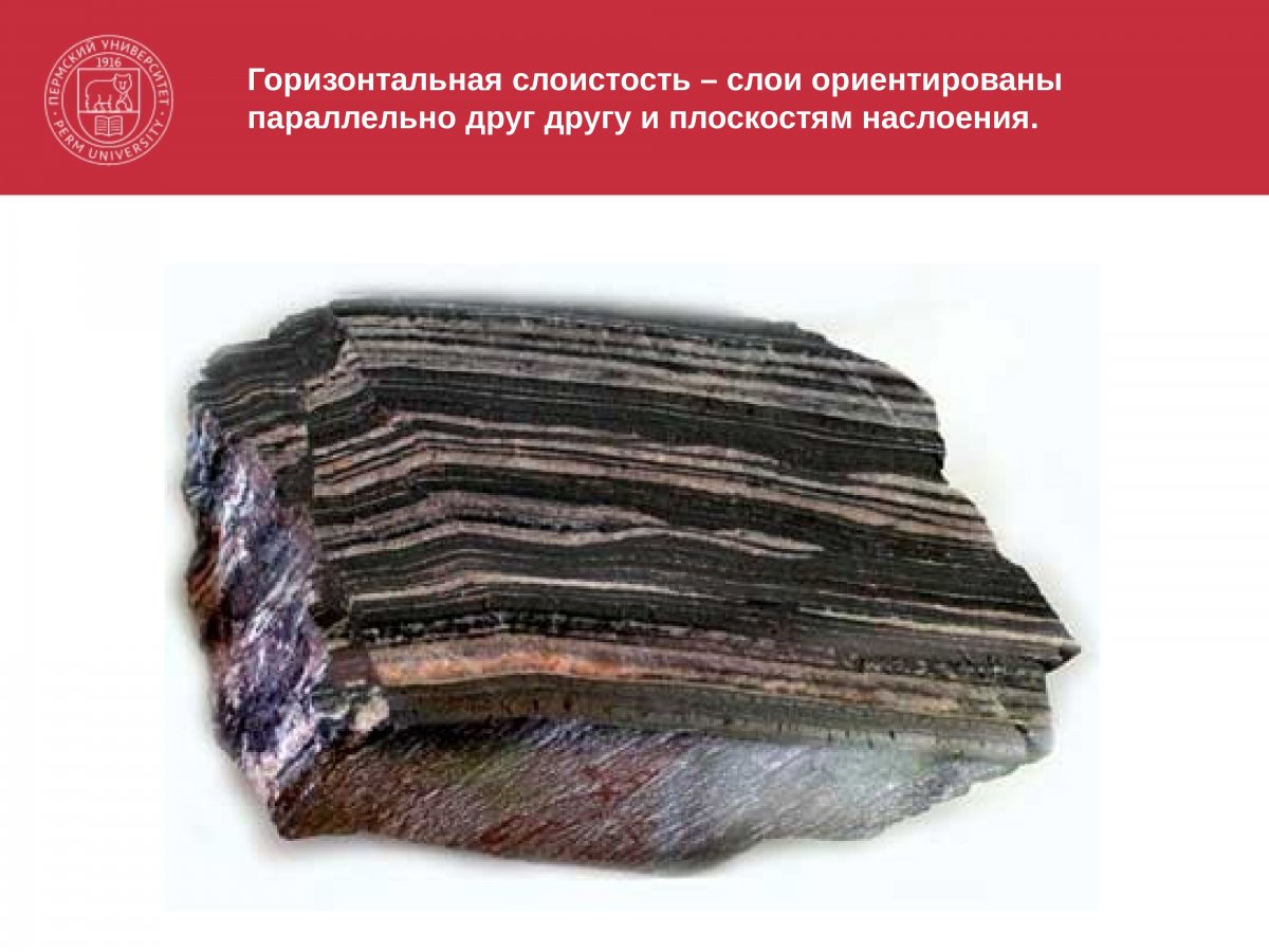 Пористая текстура осадочных пород