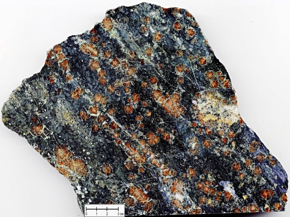 Осадочные и метаморфические горные породы