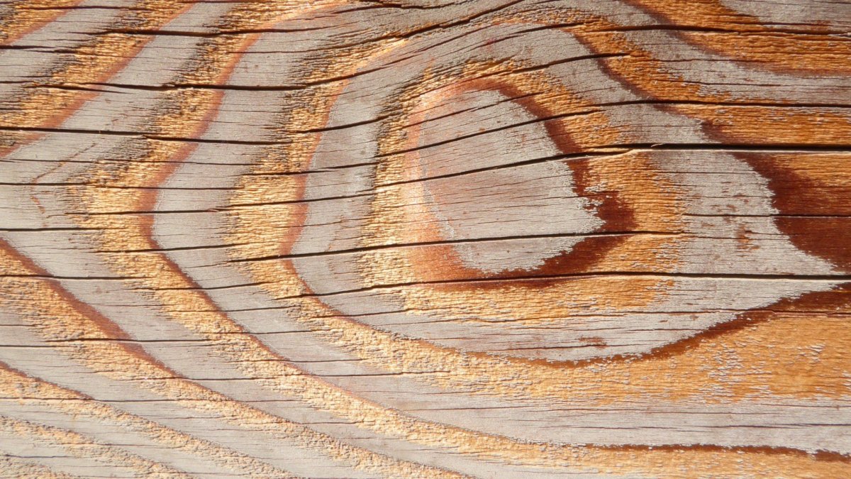 Древесина с красивой текстурой