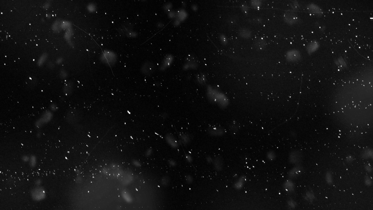 Частицы пыли