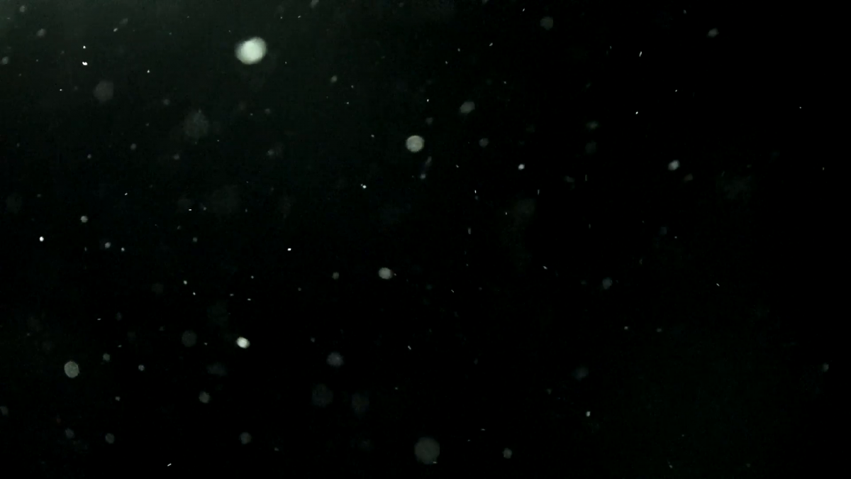 Пыль на черном фоне