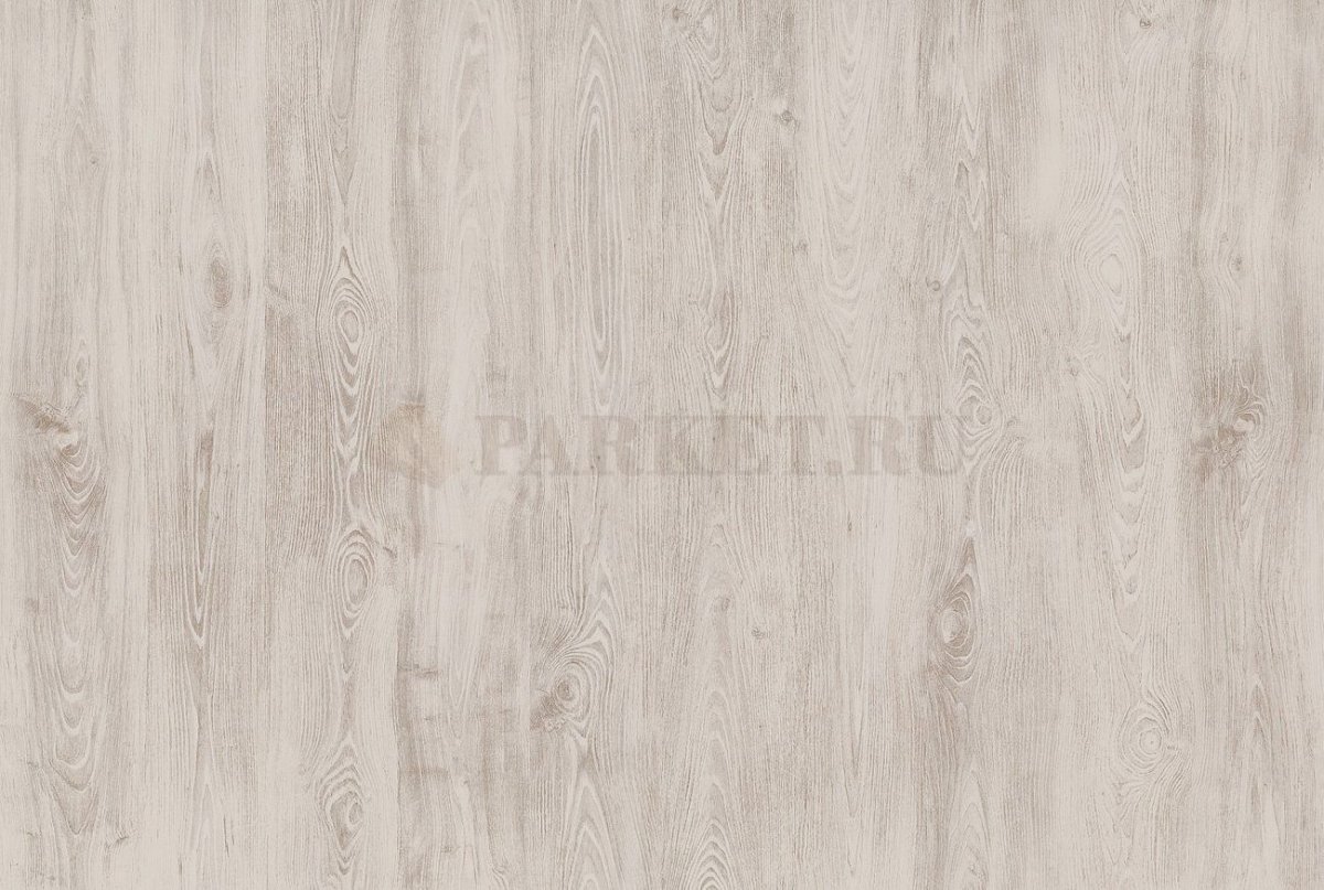 Дуб Баррик светлый u3175