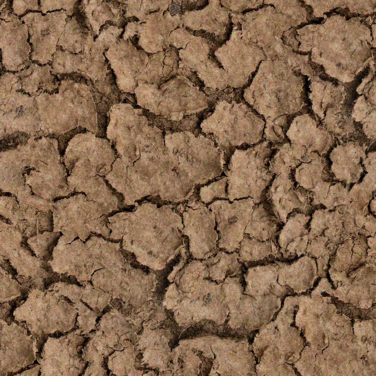 Вскопанная земля текстура