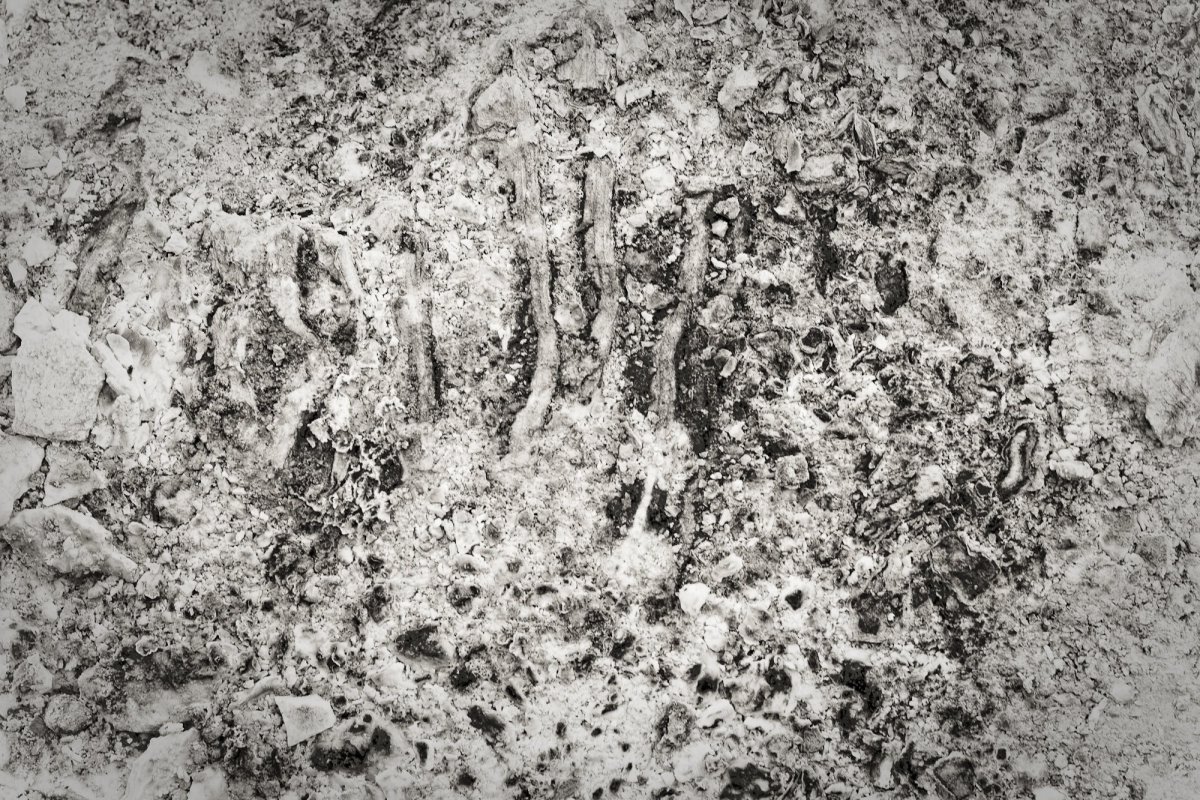 Текстура грязи