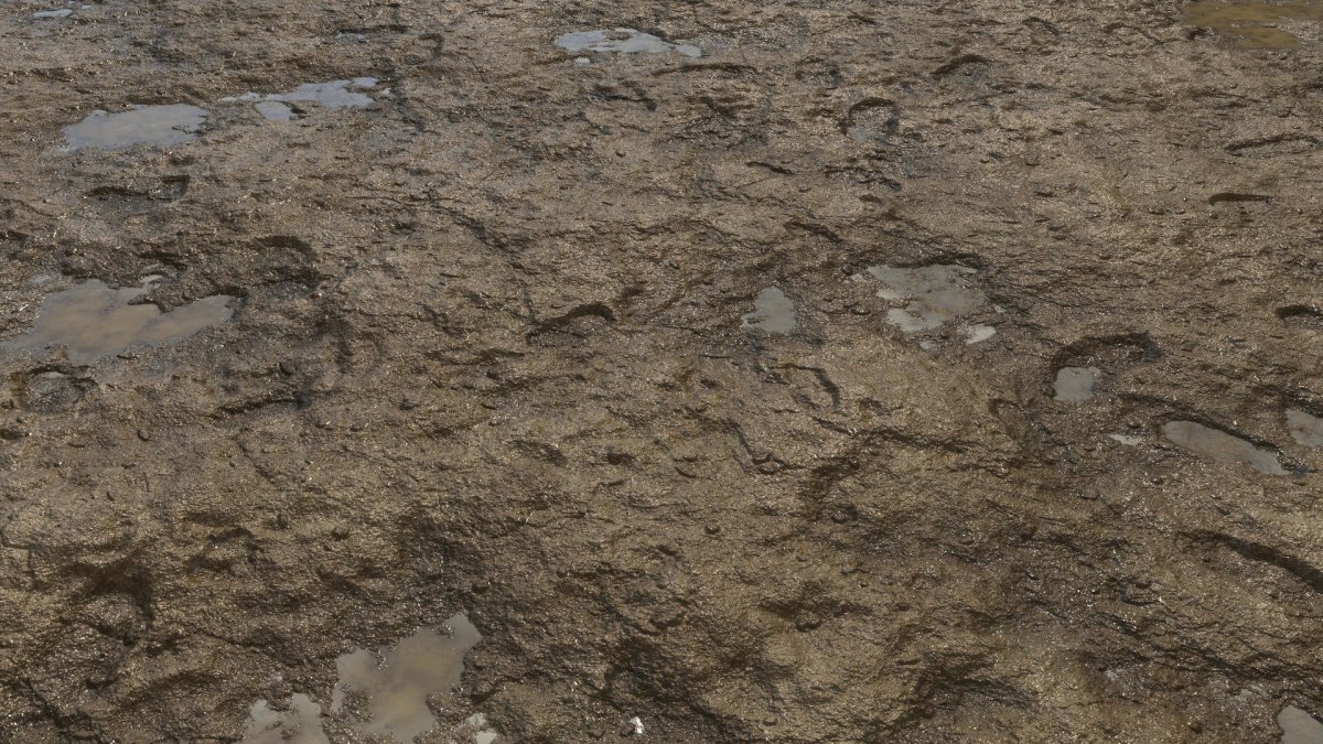 Грунт текстура