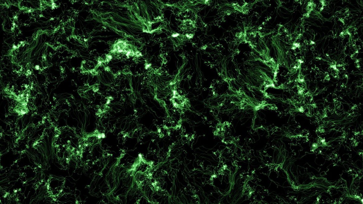 Темно зеленый фон