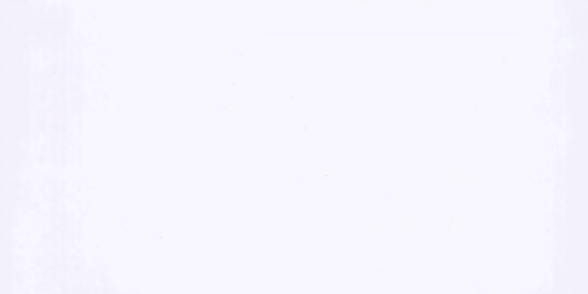 Светло серый фон