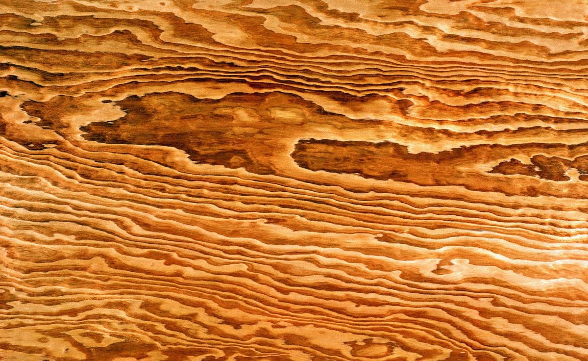 Фактура древесины