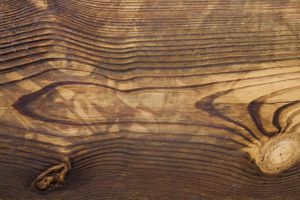 Красивая фактура дерева