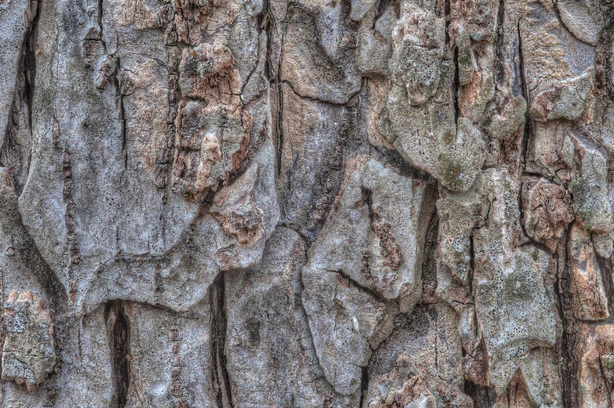 Текстура скалы