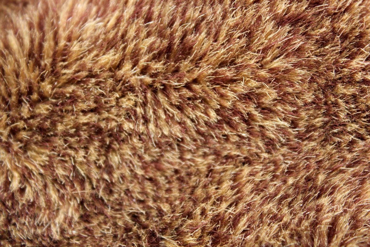 Текстура шерсти