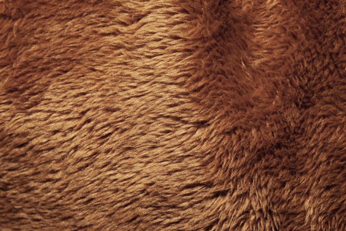 Коричневая шерсть