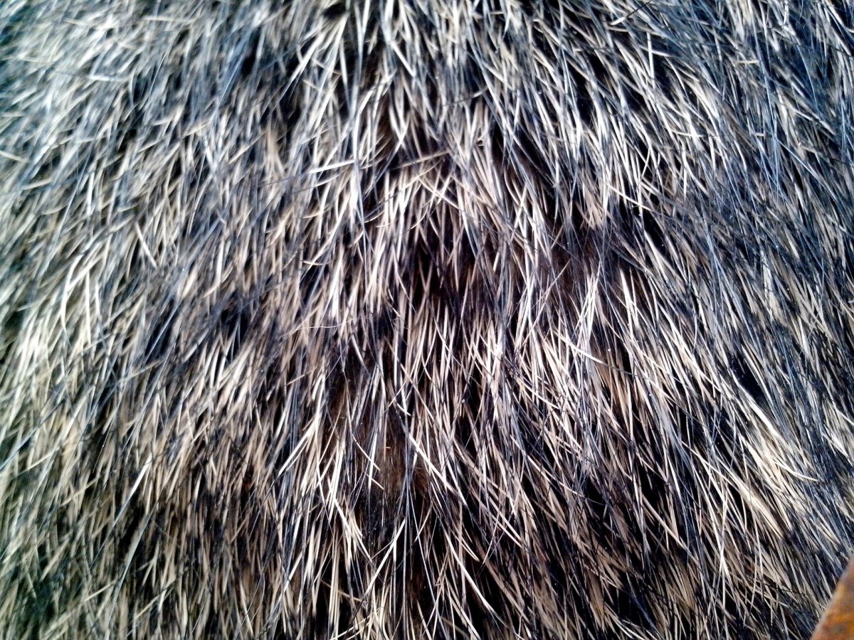 Мех фактура