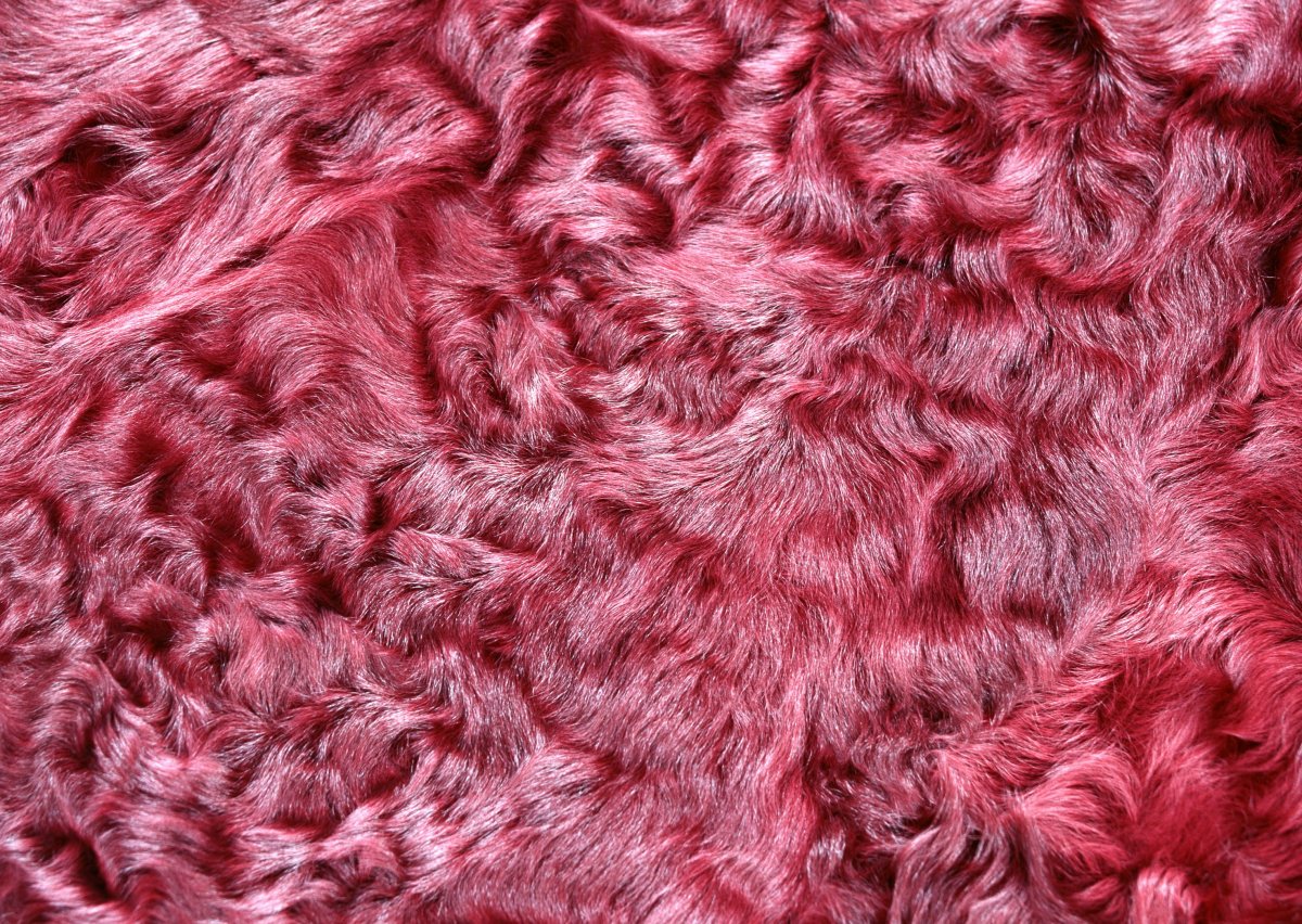Текстура шерсти