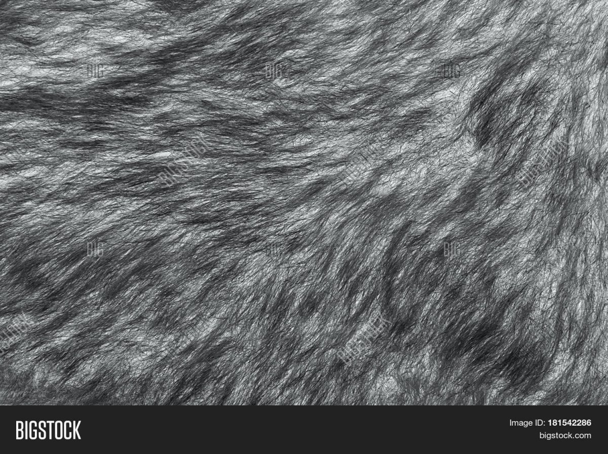 Фактура шерсти в графике