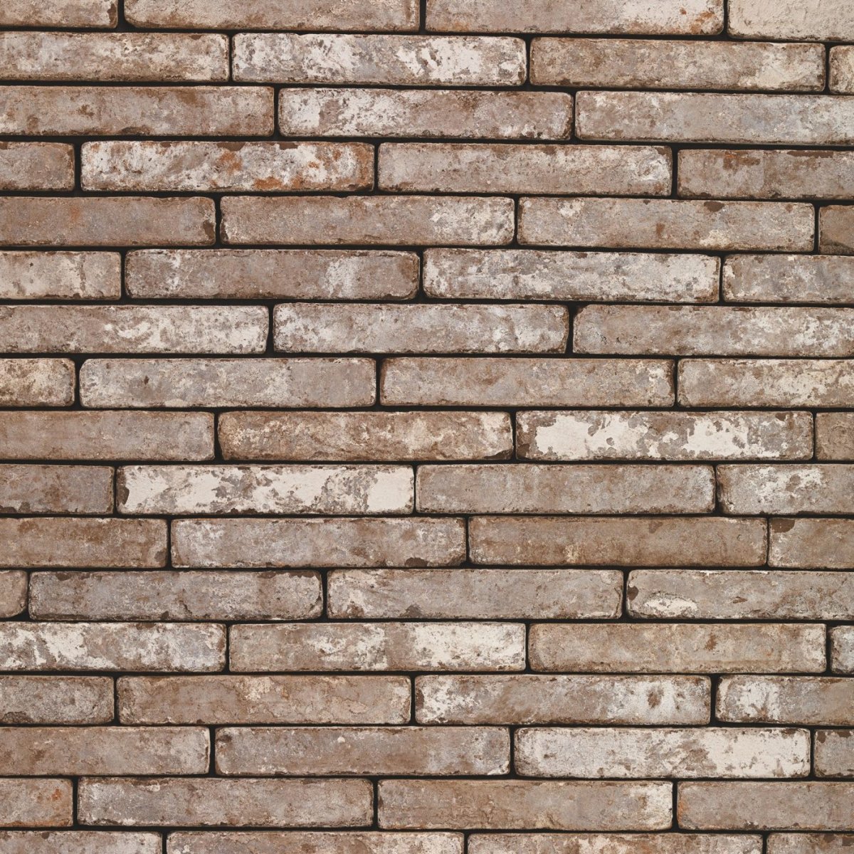 Terca Metropolis Colonia, 240*65*40 мм