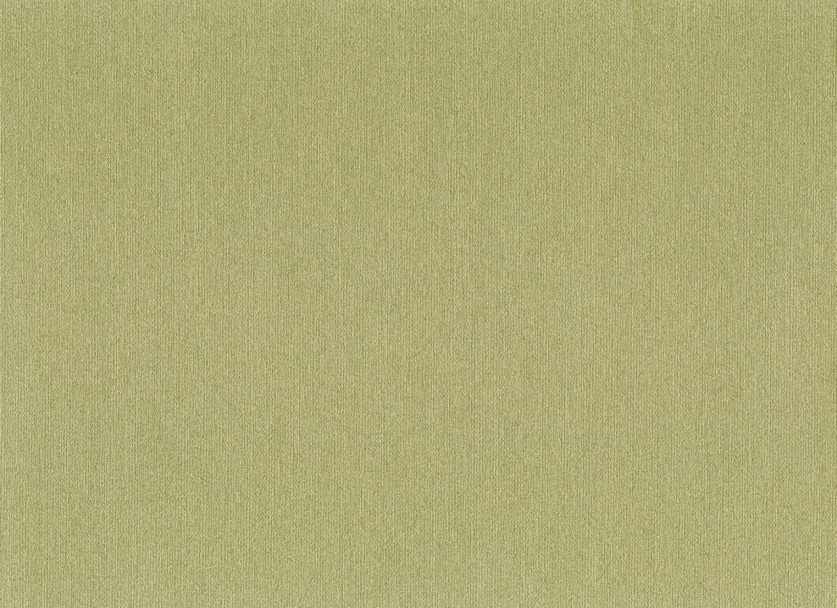 Светлый хаки цвет