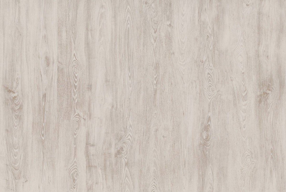 Белый каштан Жирона.