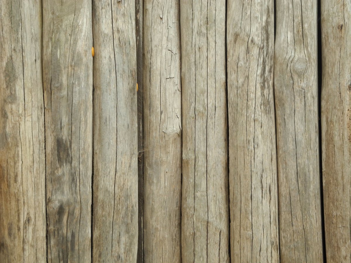 Текстура дерева доски