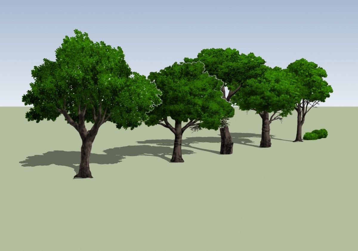 Дерево скетчап 3д