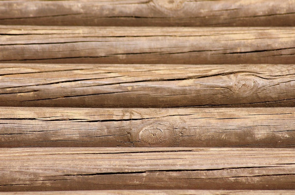 Текстура бревна