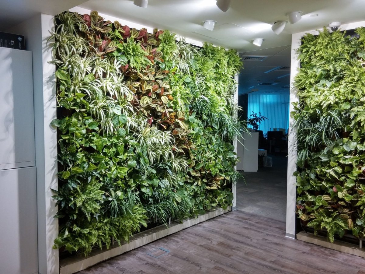 Вертикальное Озеленение Фитокартина
