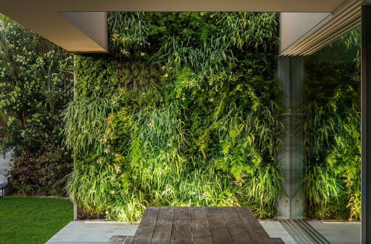 Вертикальное Озеленение