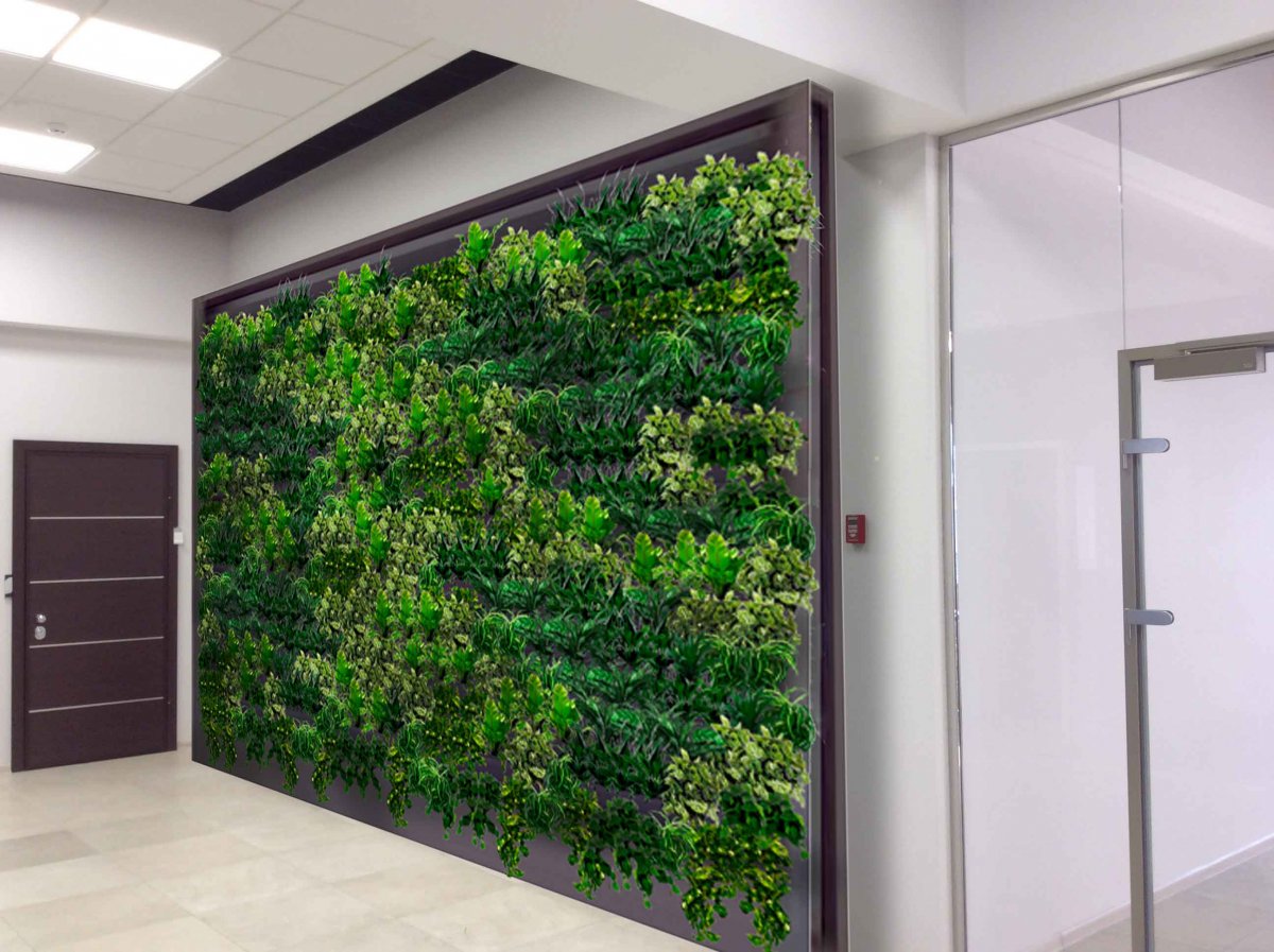 Фитостена Гардиан