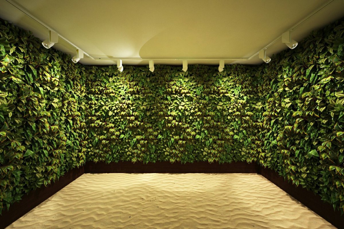 Зеленая фитостена