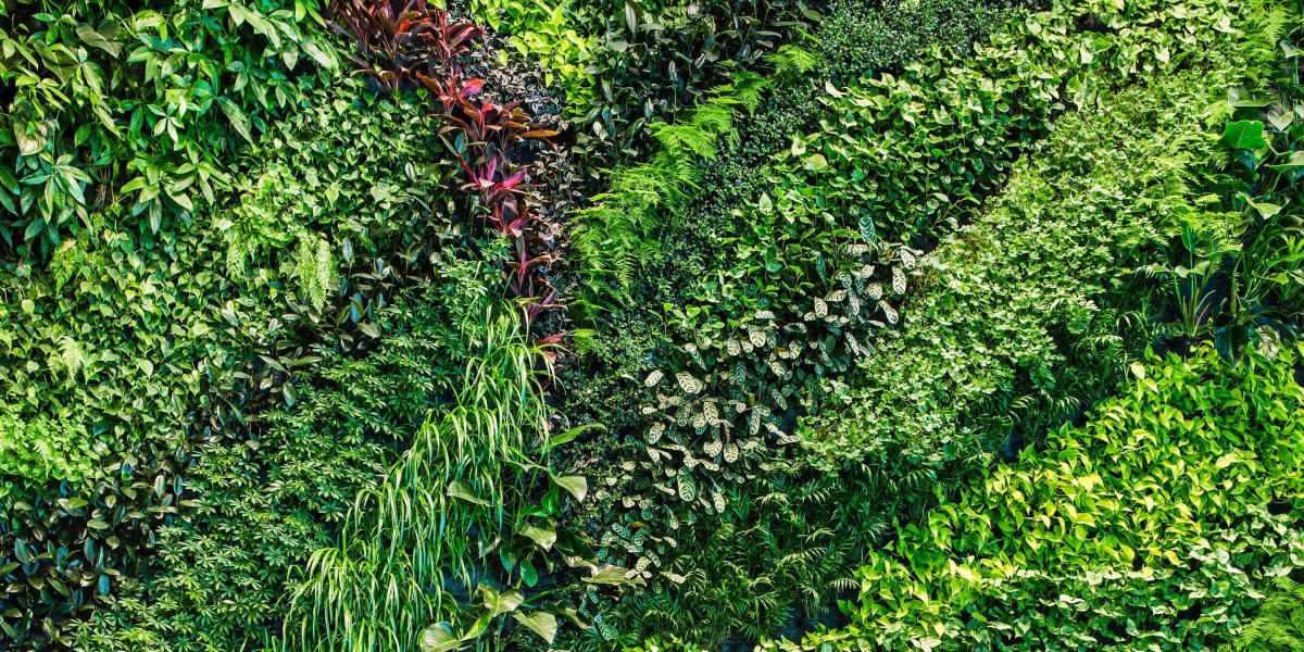 Озеленение фактура