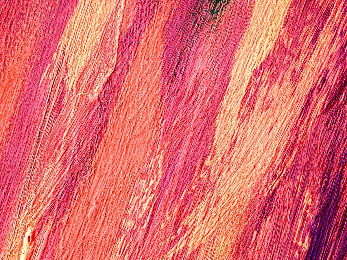 Текстура мазков кисти