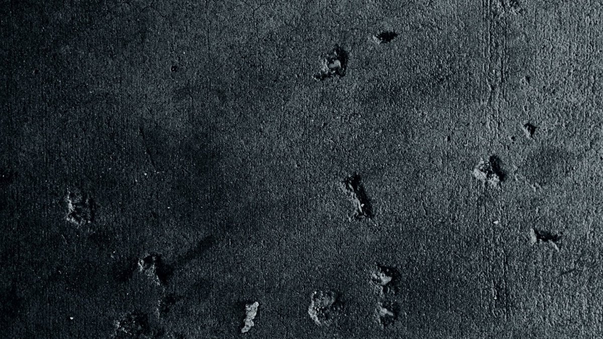 Текстура бетона