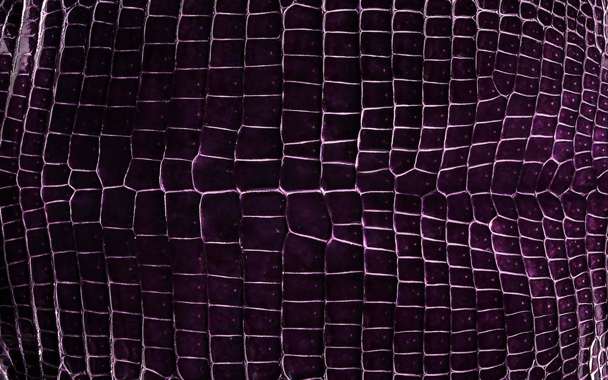 Кожа крокодила текстура