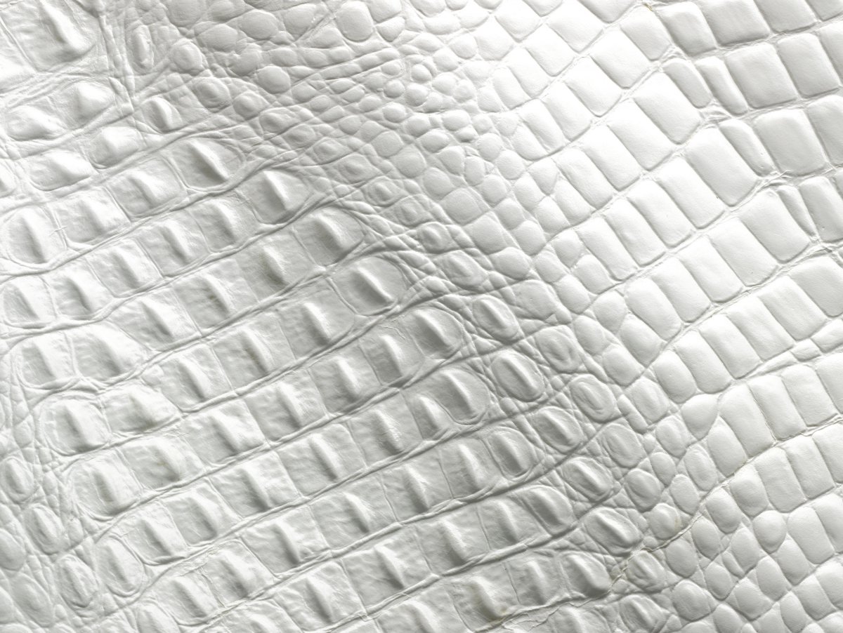 Крокодил белый кожа ПВХ 702-52