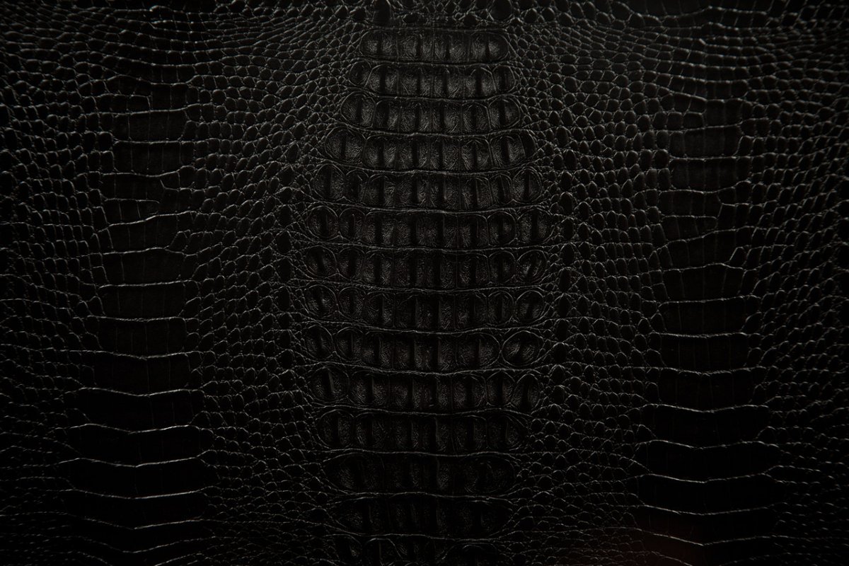 Фактура крокодиловой кожи