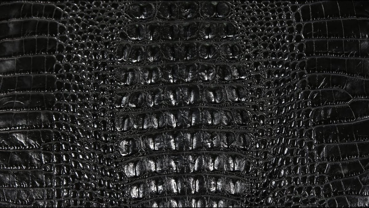 Искусственная кожа Florida 43738