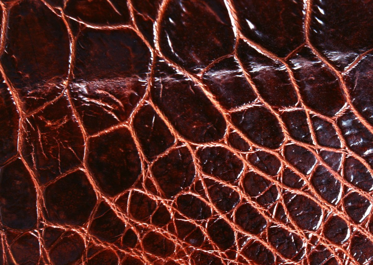 Крокодиловая кожа фактура