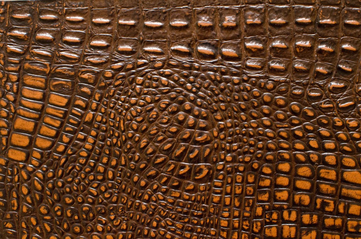 «Кожа крокодила»