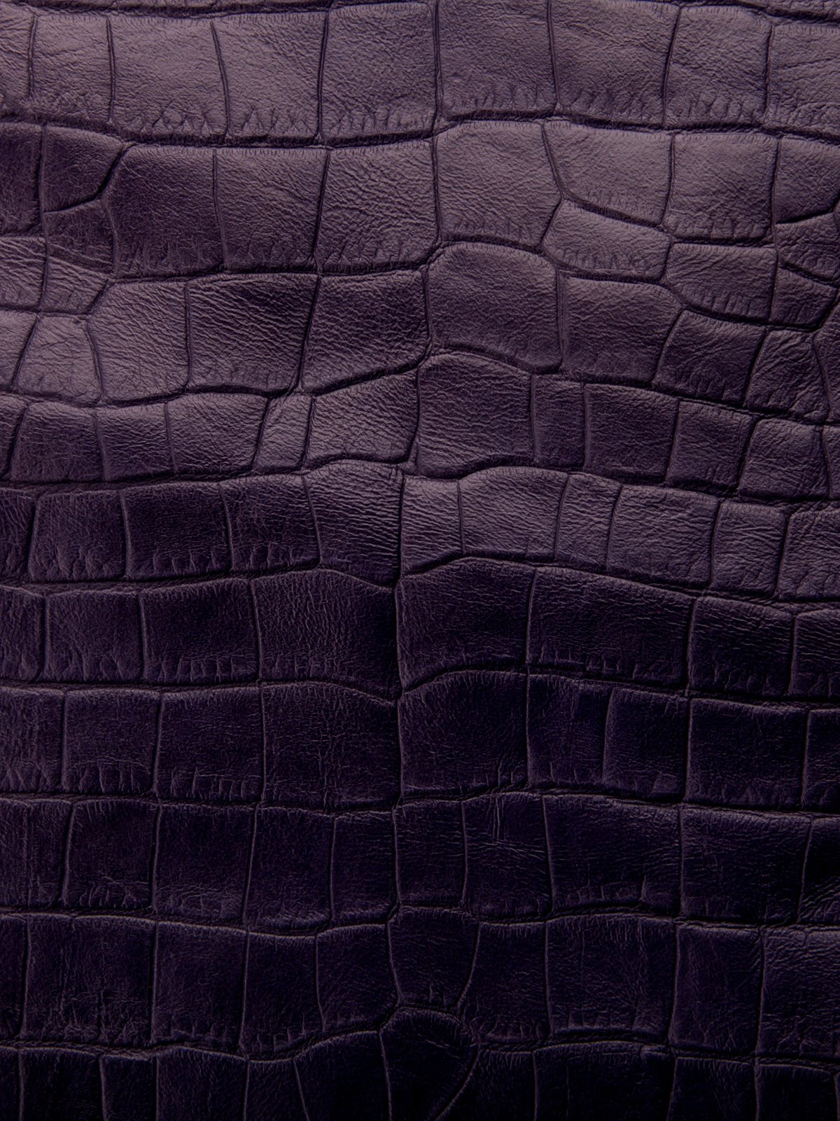 Кожный Покров крокодила