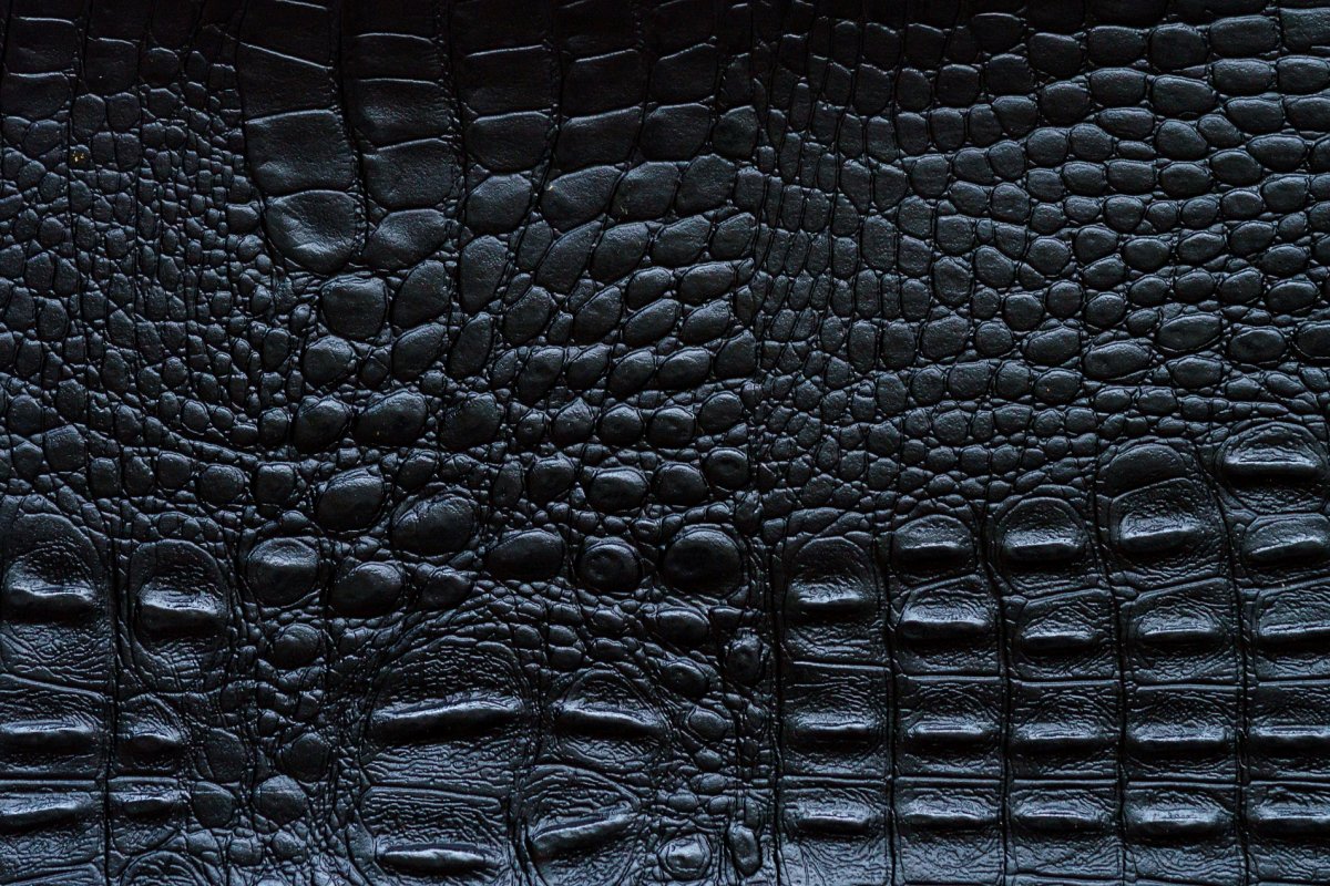 Крокодиловая кожа Альфа