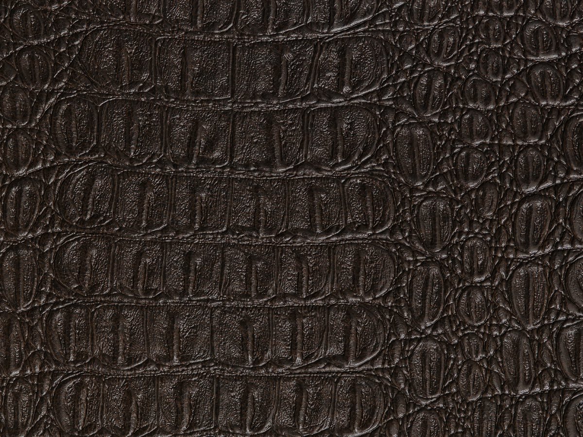 Текстура кожи