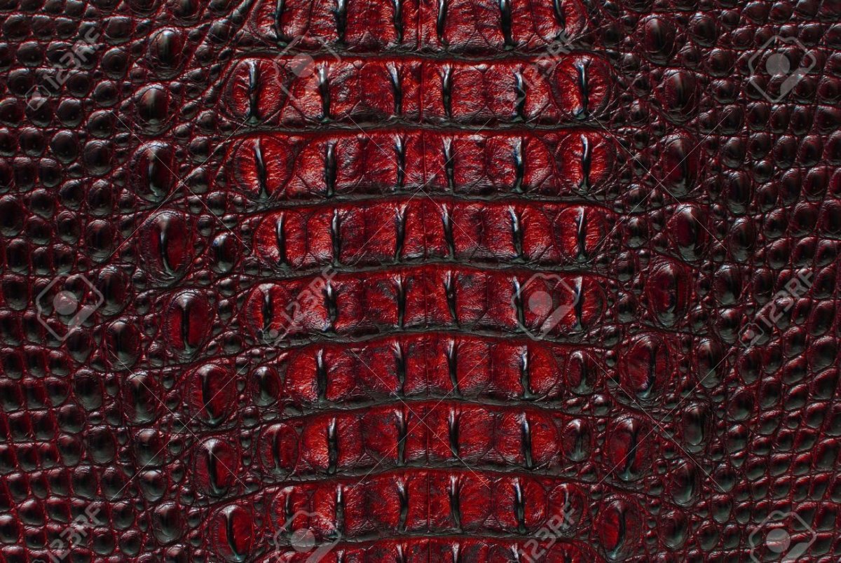 Кожа золото крокодил 1 п.м