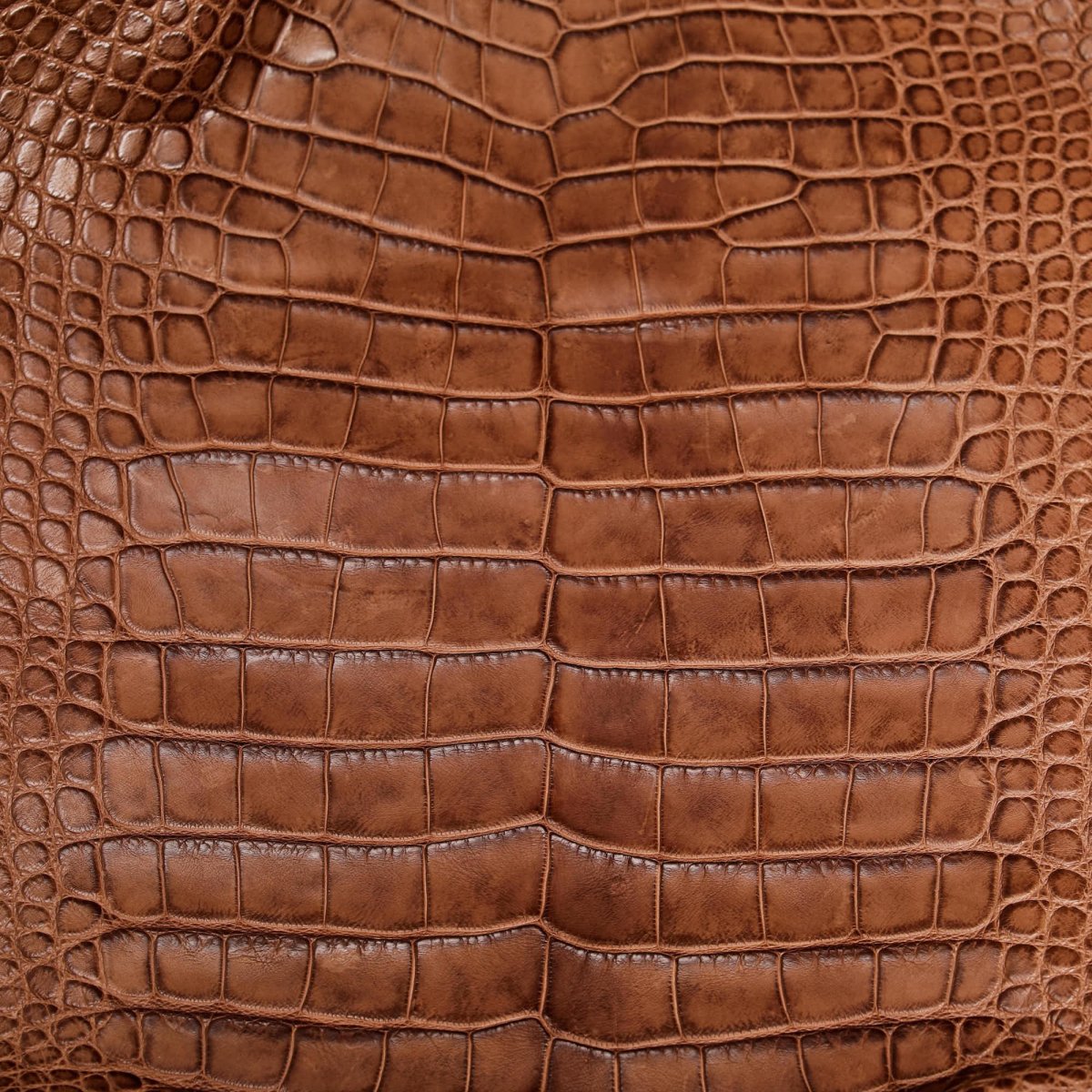 Текстура кожи