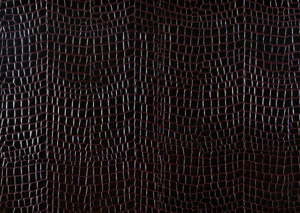 Узор кожа крокодила