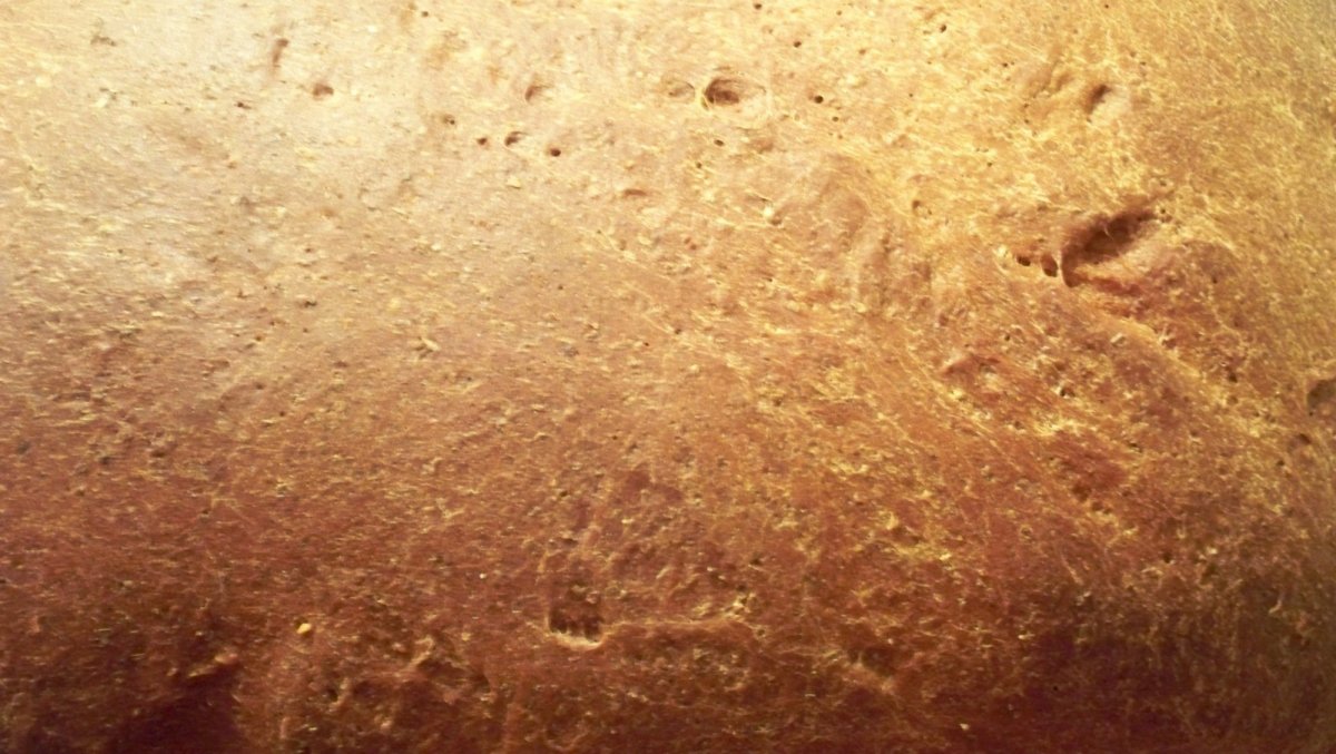 Текстура хлеба