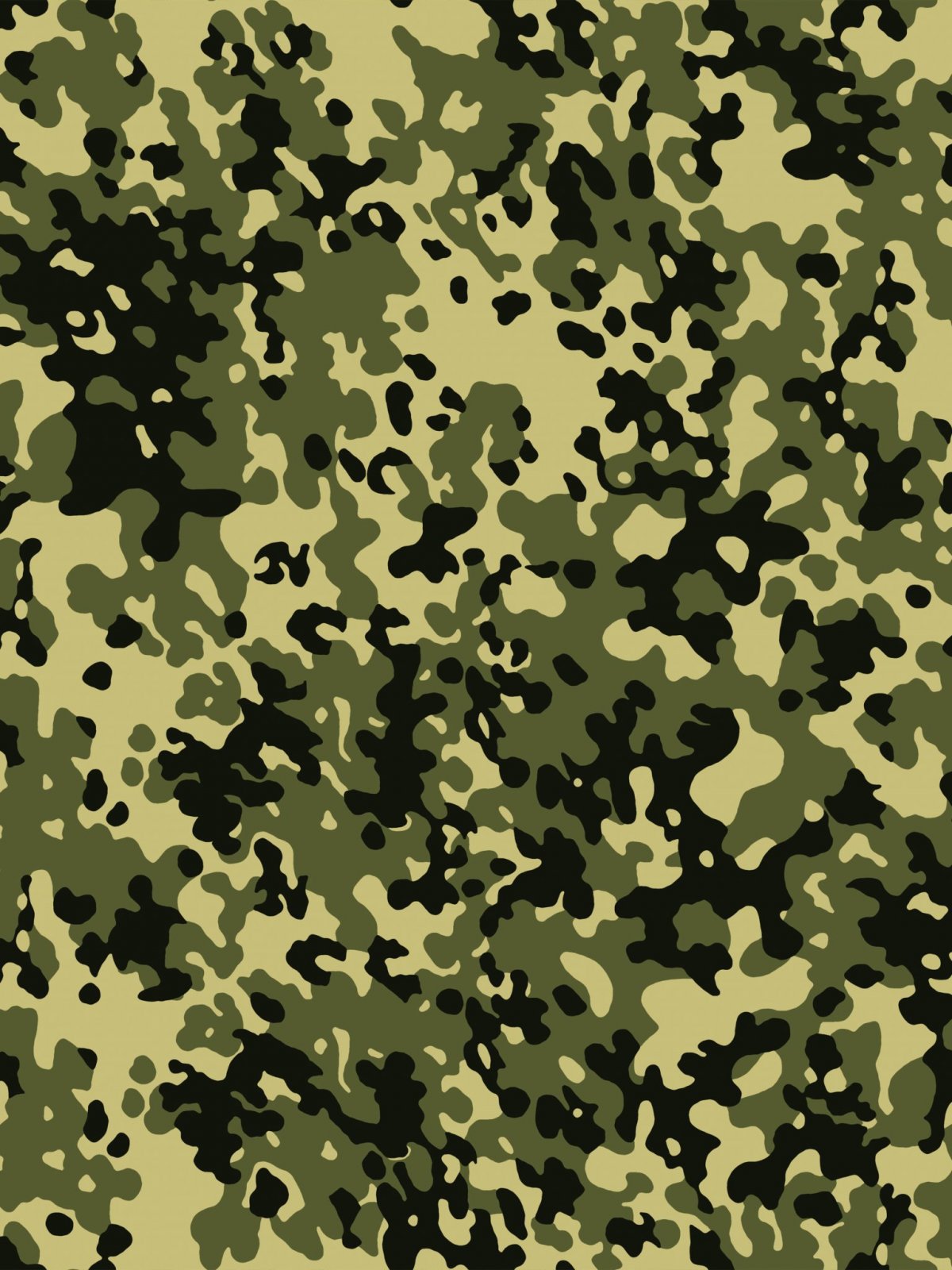 Jieitai камуфляж