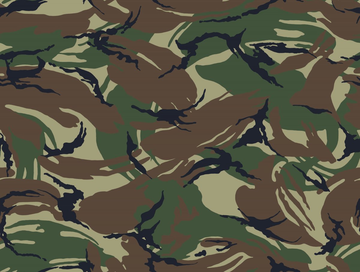 Woodland Camo 1366х160