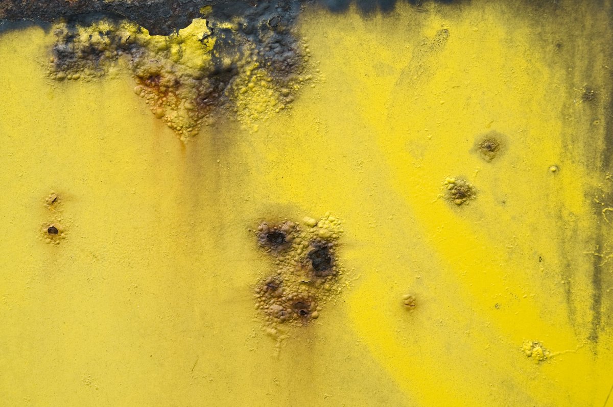 Текстура плесени бесшовная