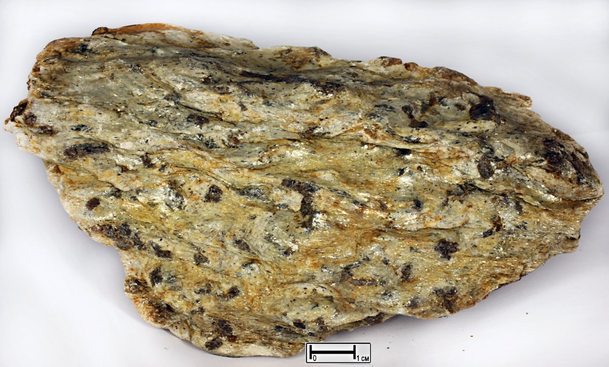 Сланец кварц-мусковитовый